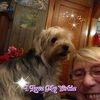 cathyjarvis479